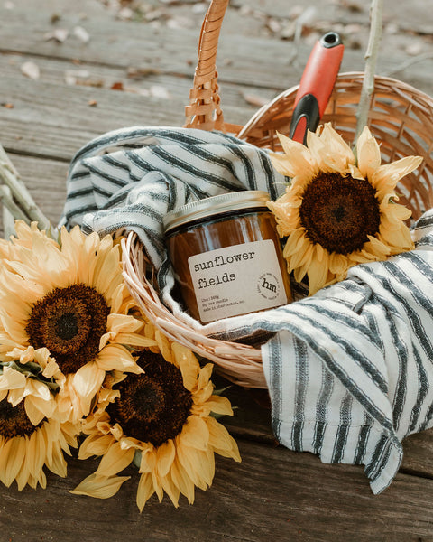Sunflower Fields