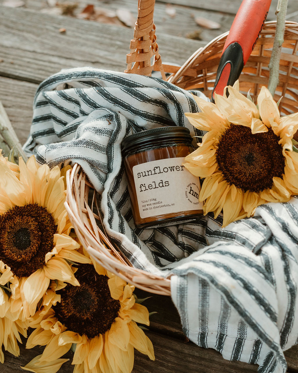 Sunflower Fields
