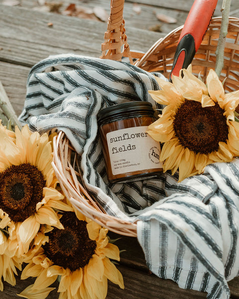 Sunflower Fields